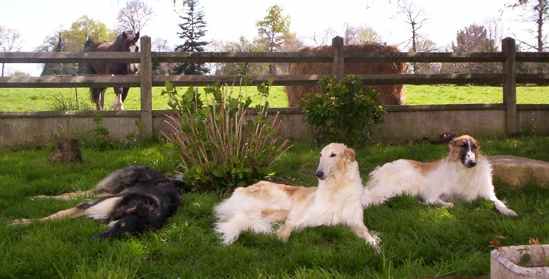 Publication : Du domaine des perles rares Auteur : Christine Challier