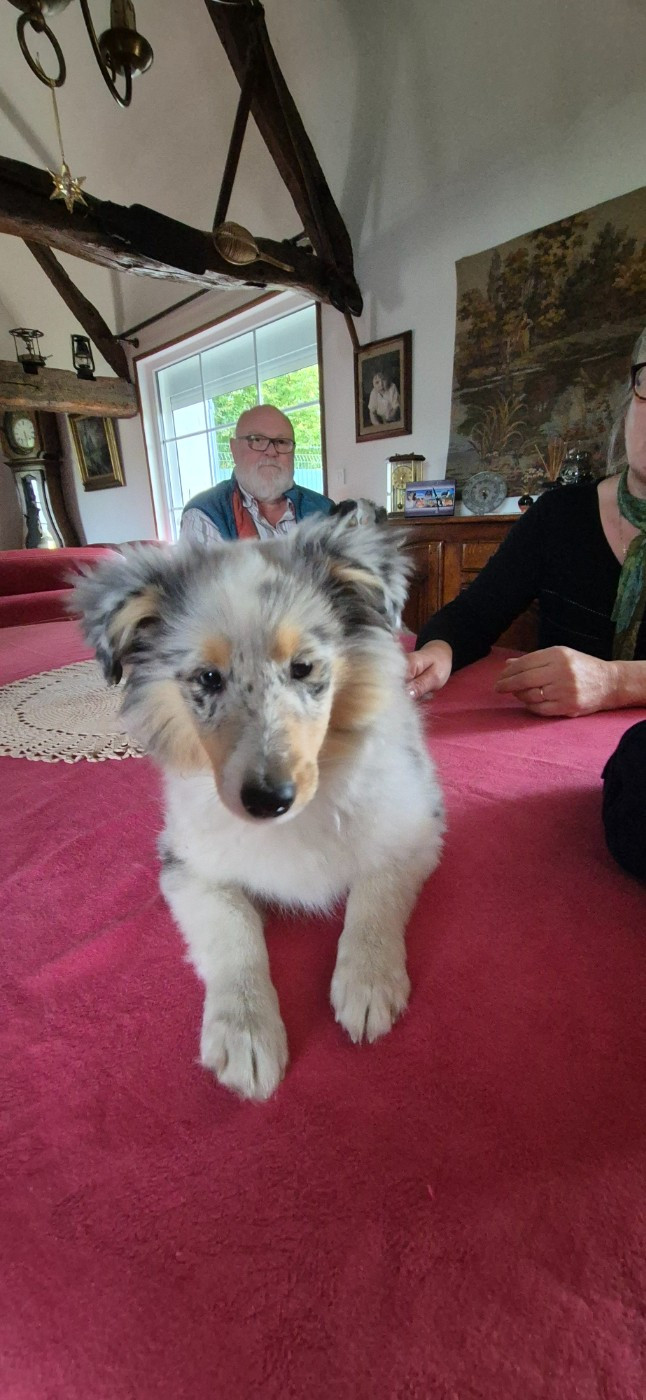 AMY  Des gardiens des trois magots