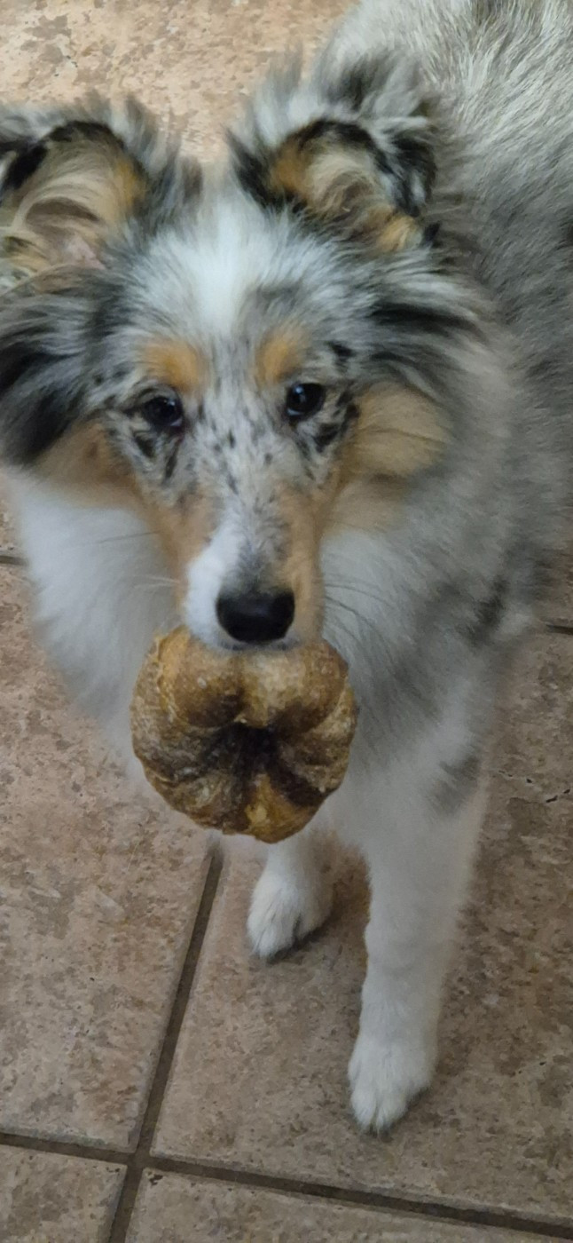 AMY  Des gardiens des trois magots