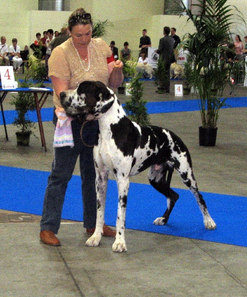 Publication : du domaine de l'ostrevent Auteur : patricia