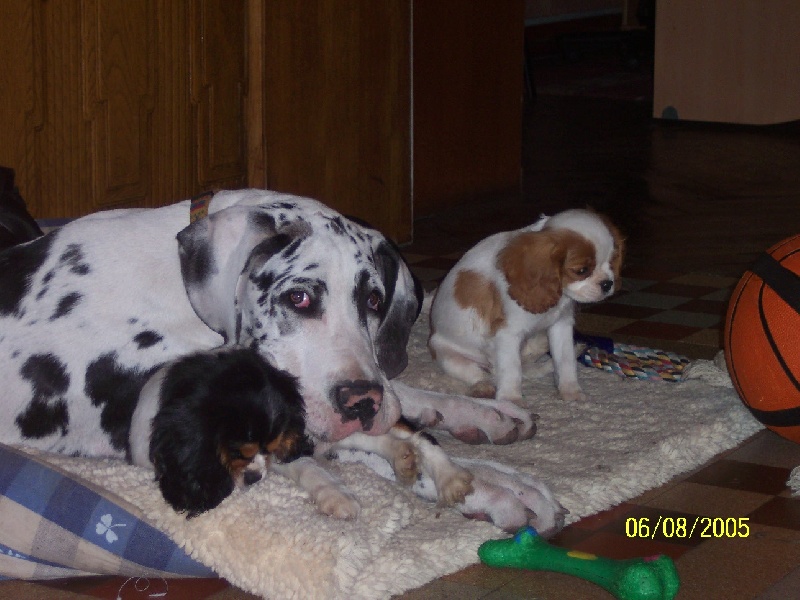 Publication : du domaine de l'ostrevent