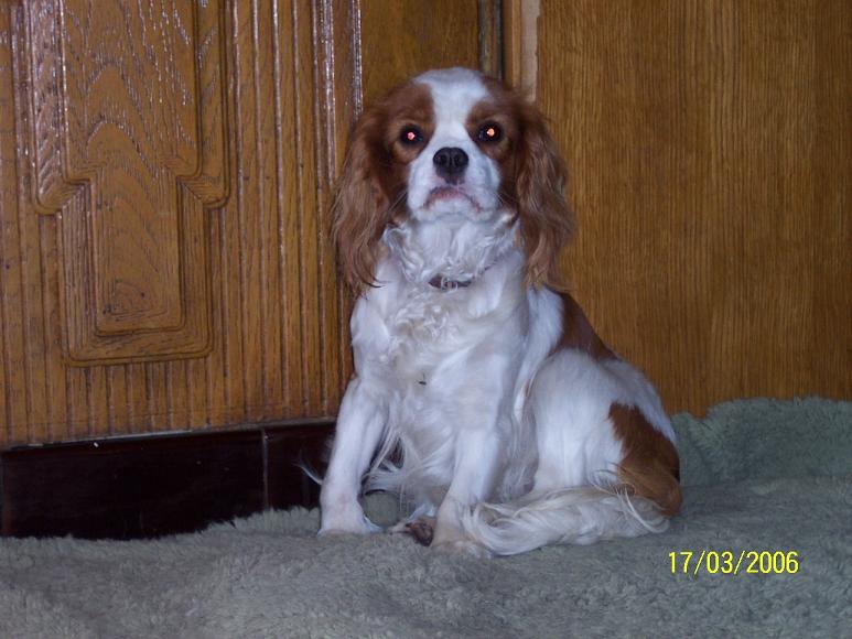 Publication : du domaine de l'ostrevent