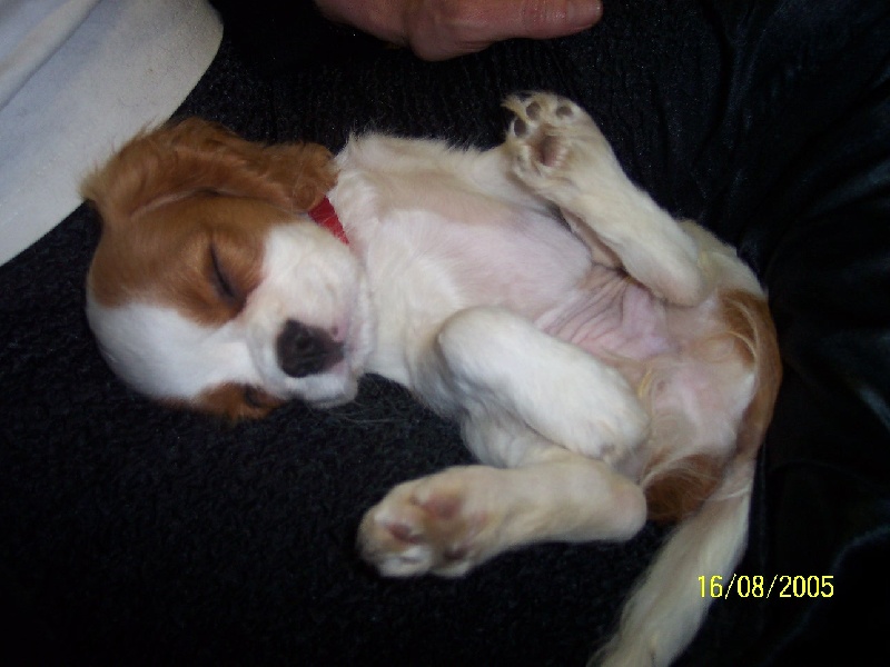 Publication : du domaine de l'ostrevent