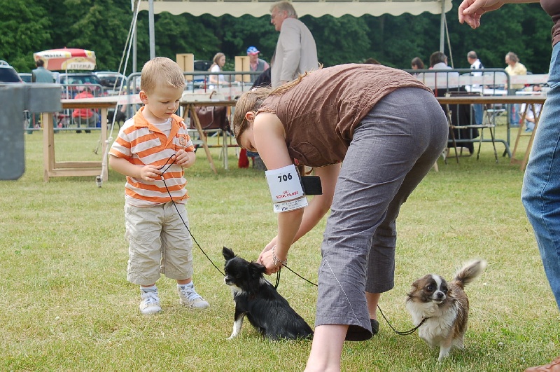 Publication : du domaine de l'ostrevent Auteur : léna