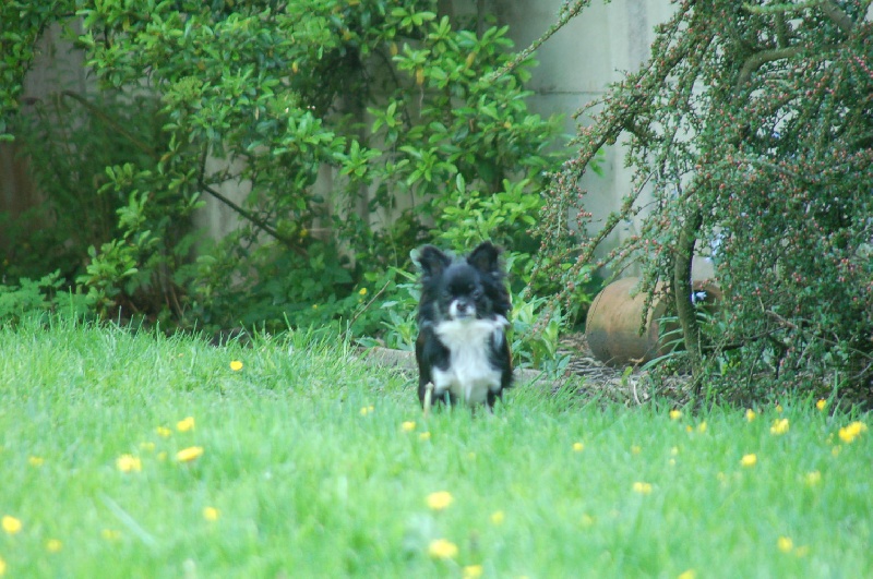 Publication : du domaine de l'ostrevent Auteur : léna