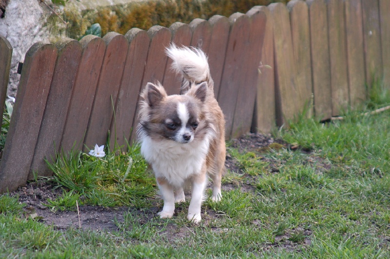 Publication : du domaine de l'ostrevent