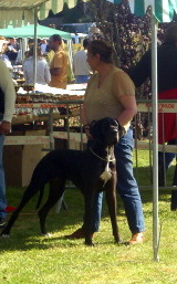 Balzane du domaine de l'ostrevent - très bon