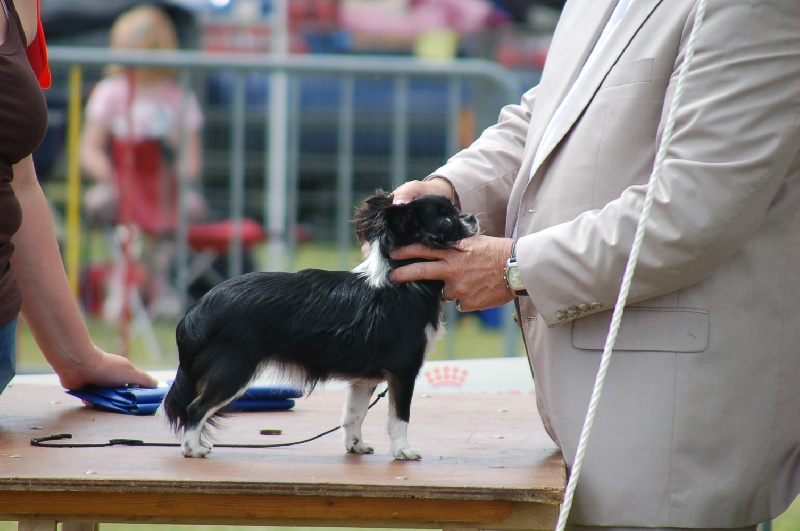 Canelle des minis halidays - 2 e excelent