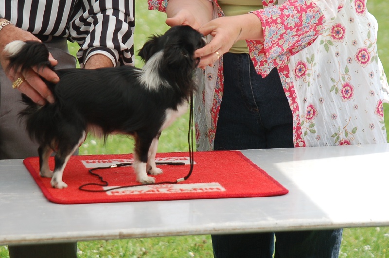 Canelle des minis halidays - 2e excellent classe jeune