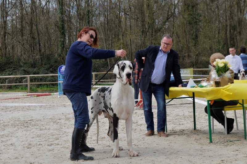 Juste'un du domaine de l'ostrevent - 2 eme excellent