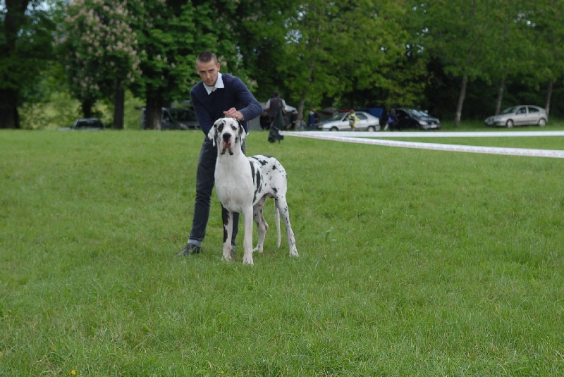 Juste'un du domaine de l'ostrevent - 2 eme excellent plus