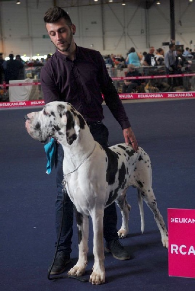 Juste'un du domaine de l'ostrevent - 1 er excellent RCACS