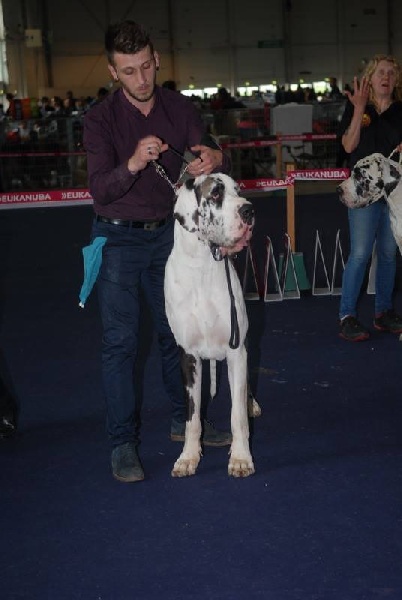 Juste'un du domaine de l'ostrevent - 3 eme très bon