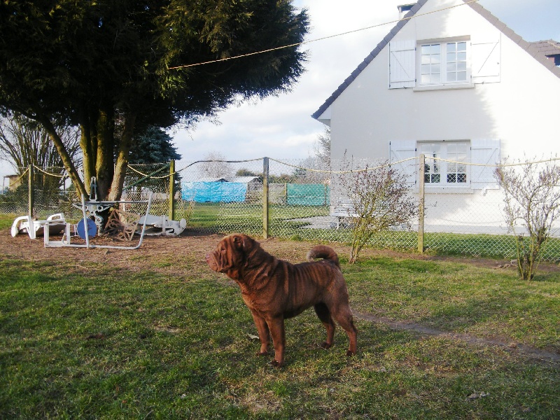 Publication : De la vallée du huyan Auteur : J LOISEAU