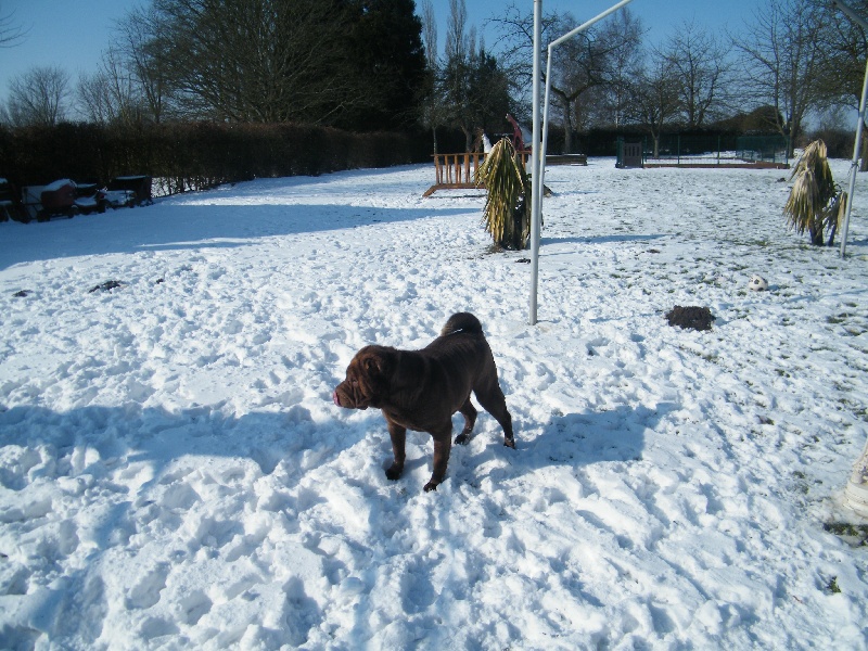 Publication : De la vallée du huyan Auteur : J LOISEAU