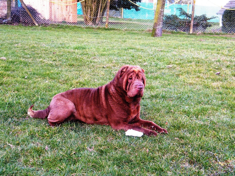 Publication : De la vallée du huyan Auteur : J LOISEAU