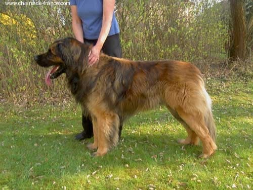 Publication : Des Neiges de Chantelouve