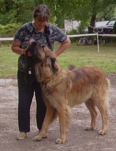 CH. Amélie-floréal Des Neiges de Chantelouve - Très Bon - Classe Ouverte