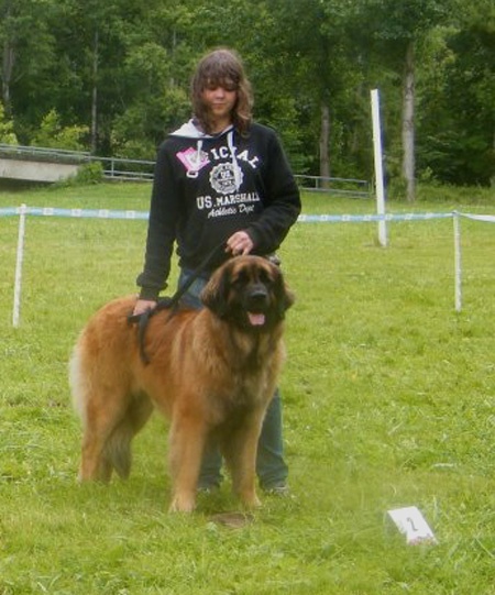 Gervaise-fructidor Des Neiges de Chantelouve - 2ième Excellent - CIF