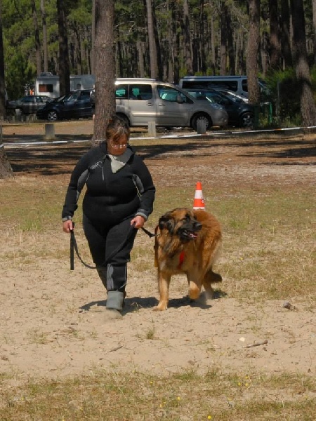 Gervaise-fructidor Des Neiges de Chantelouve - Deuxième Degré - Eliminée à la dernière épreuve