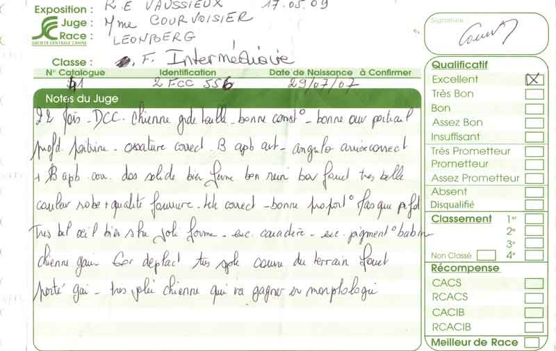 Constance-messidor Des Neiges de Chantelouve - Excellent - Classe Intermédiaire