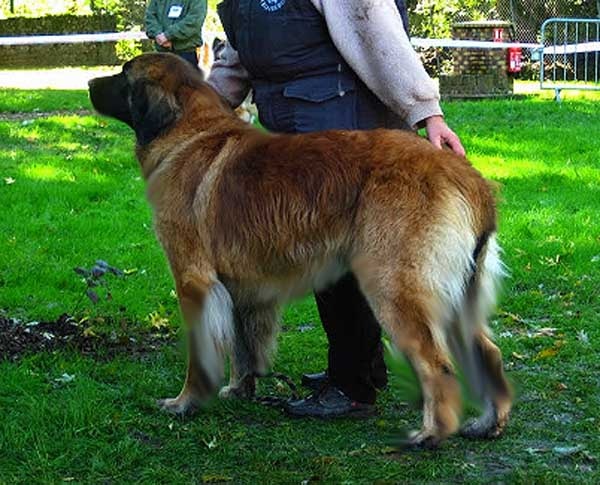 Gervaise-fructidor Des Neiges de Chantelouve - Excellent