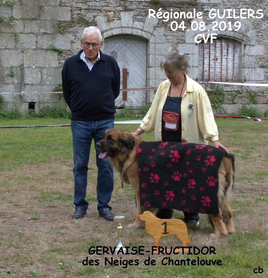 Gervaise-fructidor Des Neiges de Chantelouve - 1er Excellent - Classe Vétéran