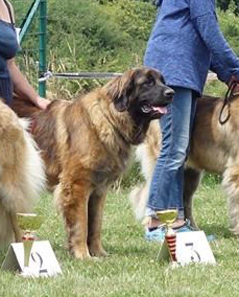 Marjolaine-lilas Des Neiges de Chantelouve - 3ème Excellent - CIF