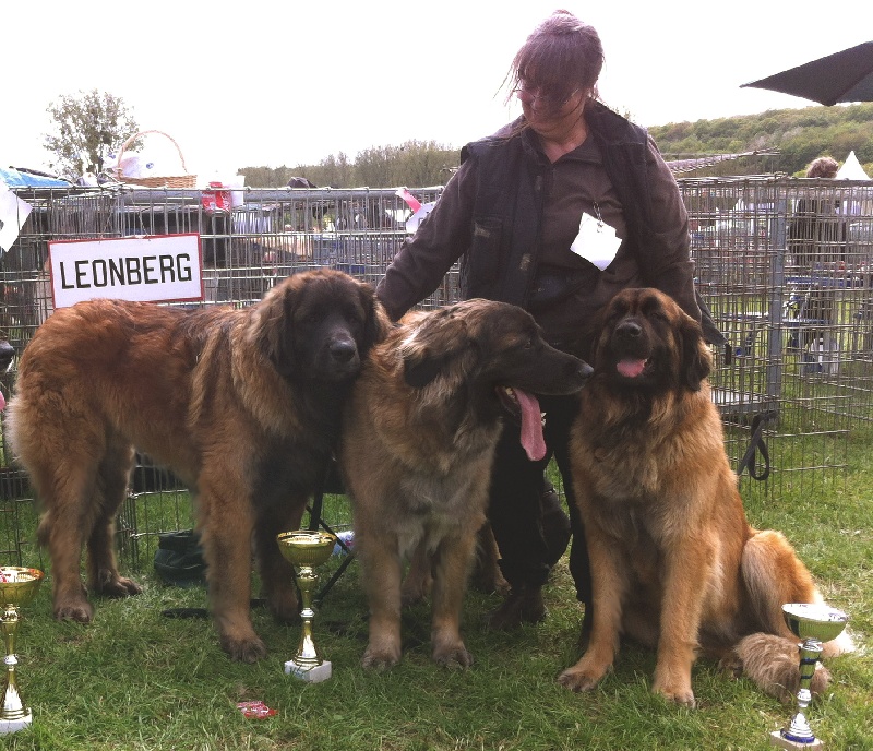 Gervaise-fructidor Des Neiges de Chantelouve - 1er Excellent - CIF - RCACS