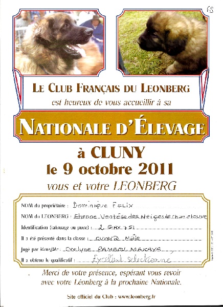 Etienne-ventôse Des Neiges de Chantelouve - Excellent - Sélectionné - COM