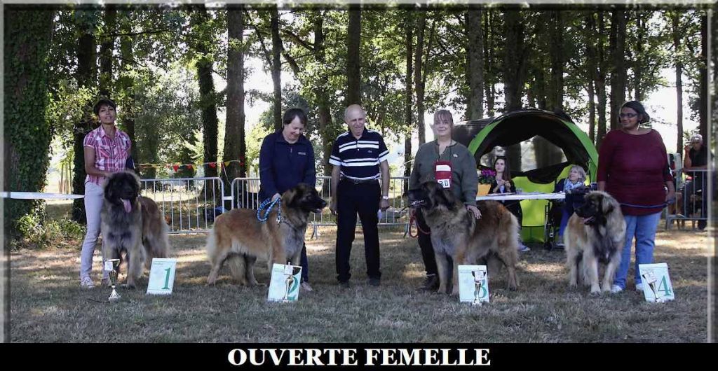 Léopoldine-coquelicot Des Neiges de Chantelouve - 3ème Excellent - COF