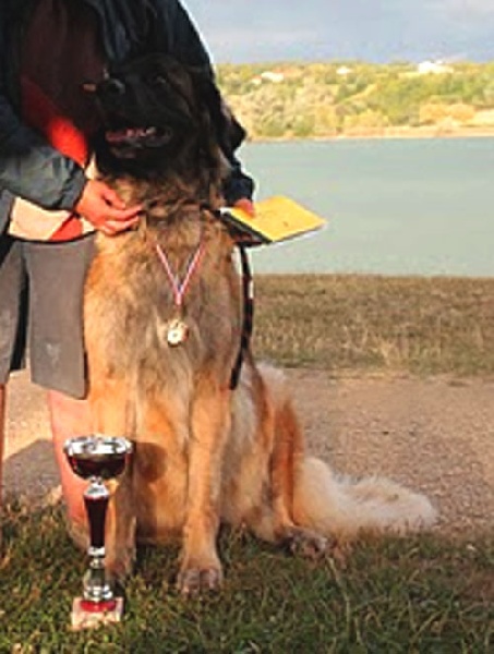 Constance-messidor Des Neiges de Chantelouve - 1ère Excellent - 2ième degre de sauvetage aquatique