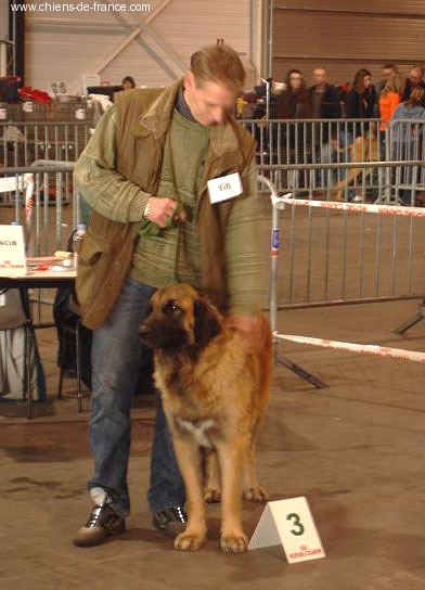 Uppeline Des lions du duc de normandie - 3ième Excellent