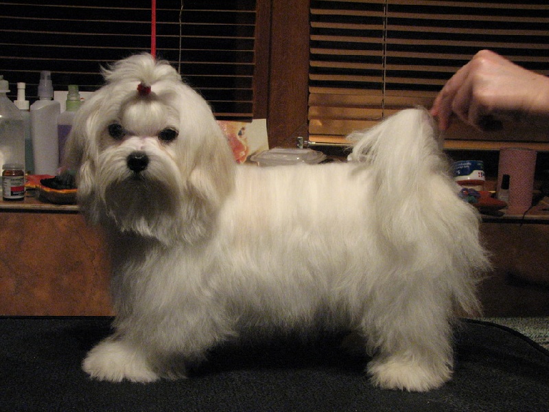 Publication : Valma's Signature Auteur : valerie pellerin