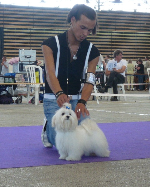 Publication : Valma's Signature