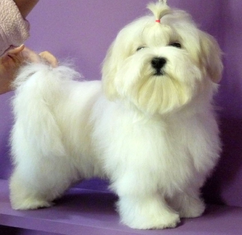 Publication : Valma's Signature