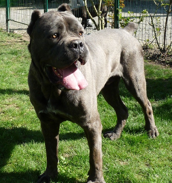 Publication : Valma's Signature