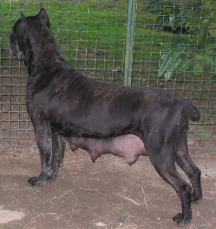 Publication : Valma's Signature