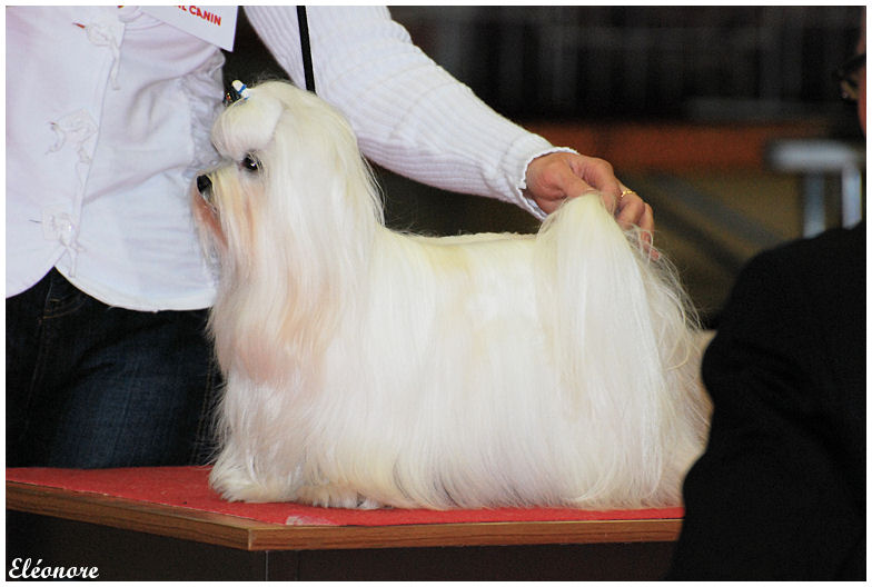 Publication : Valma's Signature Auteur : valerie pellerin