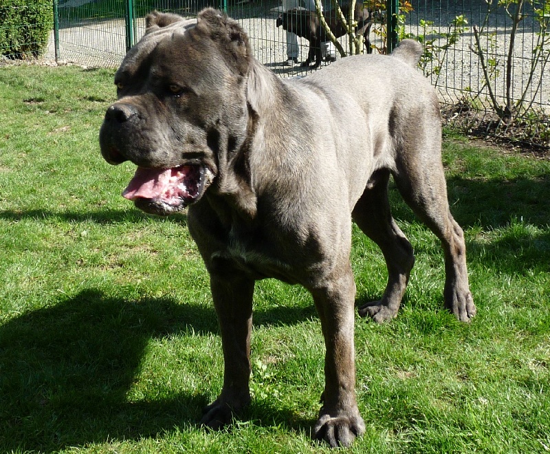 Publication : Valma's Signature