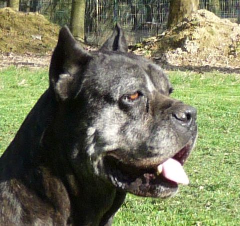 Publication : Valma's Signature