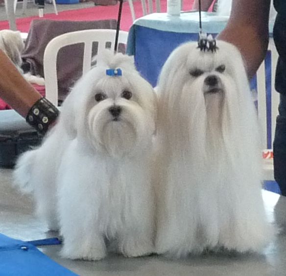 Publication : Valma's Signature