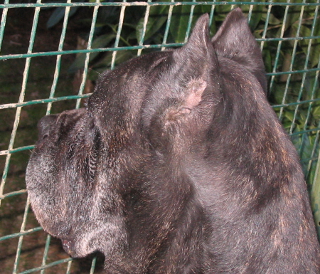 Publication : Valma's Signature