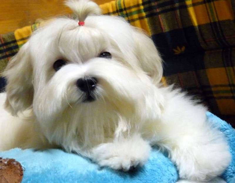 Publication : Valma's Signature