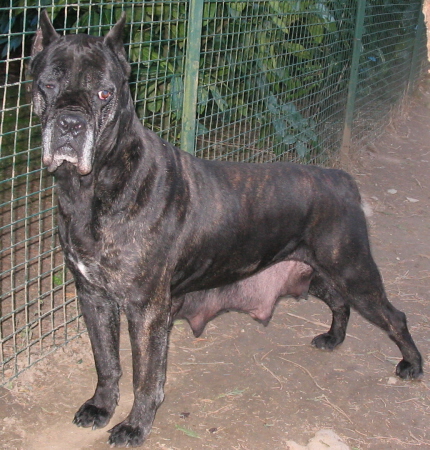 Publication : Valma's Signature