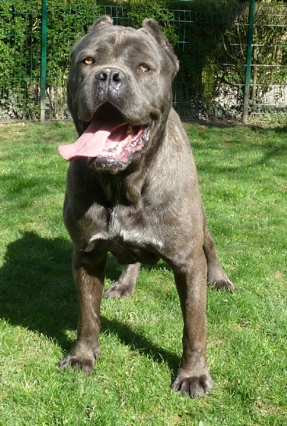 Publication : Valma's Signature