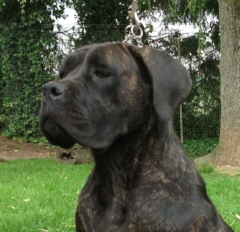 Publication : Valma's Signature Auteur : CD3R