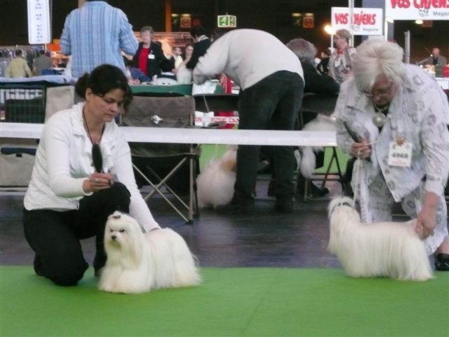 Publication : Valma's Signature Auteur : valerie pellerin