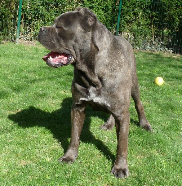 Publication : Valma's Signature