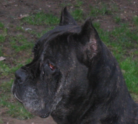 Publication : Valma's Signature